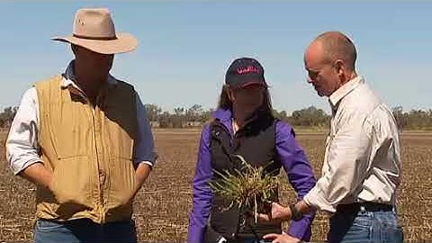 SwarmFarm Robotics on ABC Landline