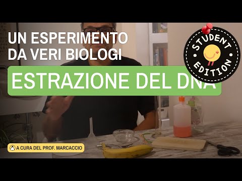 Video ESTRARRE IL DNA DA UNA BANANA: ... IN CLASSE PER FARE SCIENZE