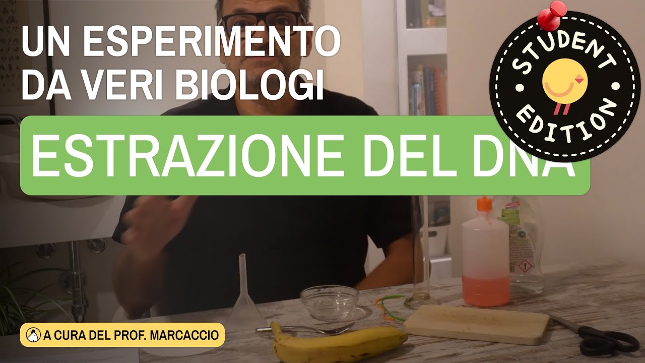 ESTRARRE IL DNA DA UNA BANANA: ... IN CLASSE PER FARE SCIENZE