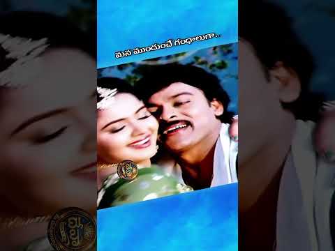 జివ్వుమని కొండగాలీ కత్తిలా గుచ్చుతుందీ.. 🏔️💨 లంకేశ్వరుడు Chiranjeevi,Radha Hits.Raj-Koti Melodies