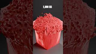 From 1kg to 100,000 kg - Torus Crushes Voxel Cube🔥 #shorts