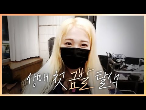 생애 첫 <strong>백금발</strong> | 탈색 야방