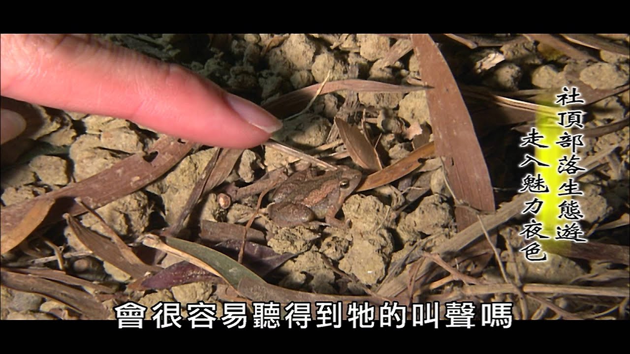 【MIT台灣誌 #418】墾丁社頂  美麗晝夜  日夜遊　part2