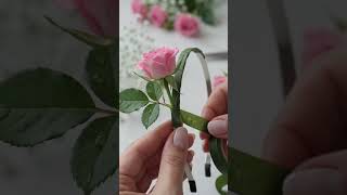 diy flower hairband jewellery making asmr # follow for more