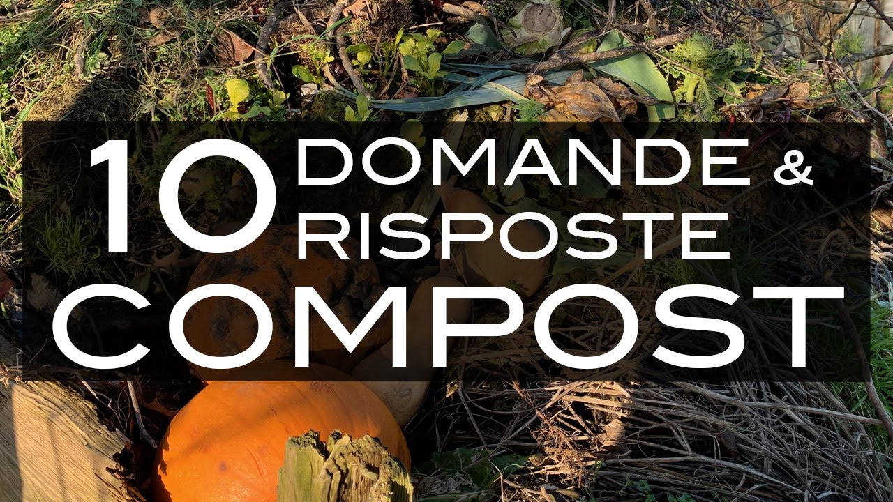 10 Domande & Risposte sul Compost - YouTube