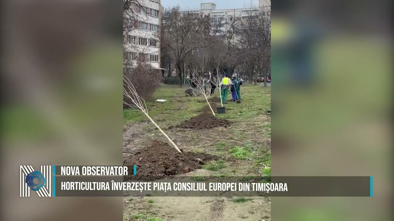 HORTICULTURA ÎNVERZEȘTE PIAȚA CONSILIUL EUROPEI DIN TIMIȘOARA HORTICULTURA ÎNVERZEȘTE PIAȚA CONSILIUL EUROPEI DIN TIMIȘOARA