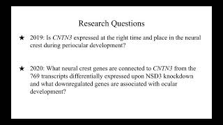 NCUR 2021 Presentation