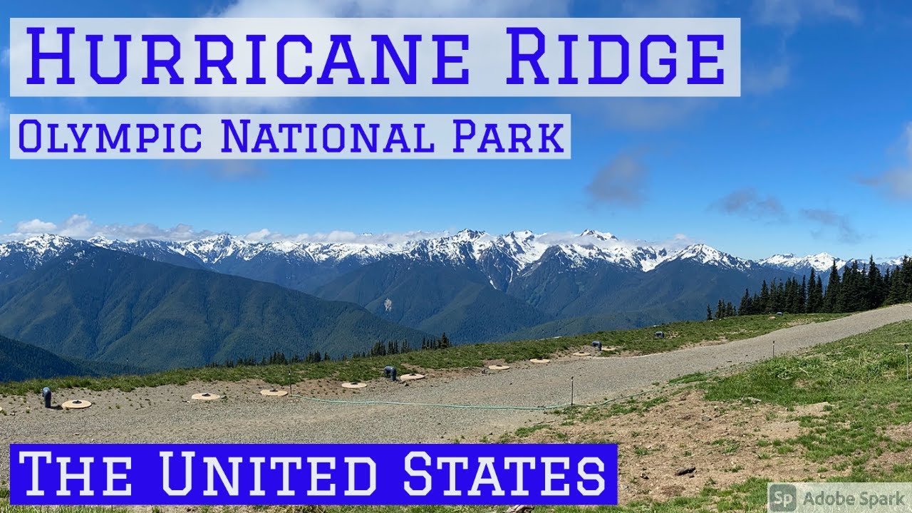 Hurricane Ridge Views of Olympic Mountains and Drive, Olympic National Park, Washington