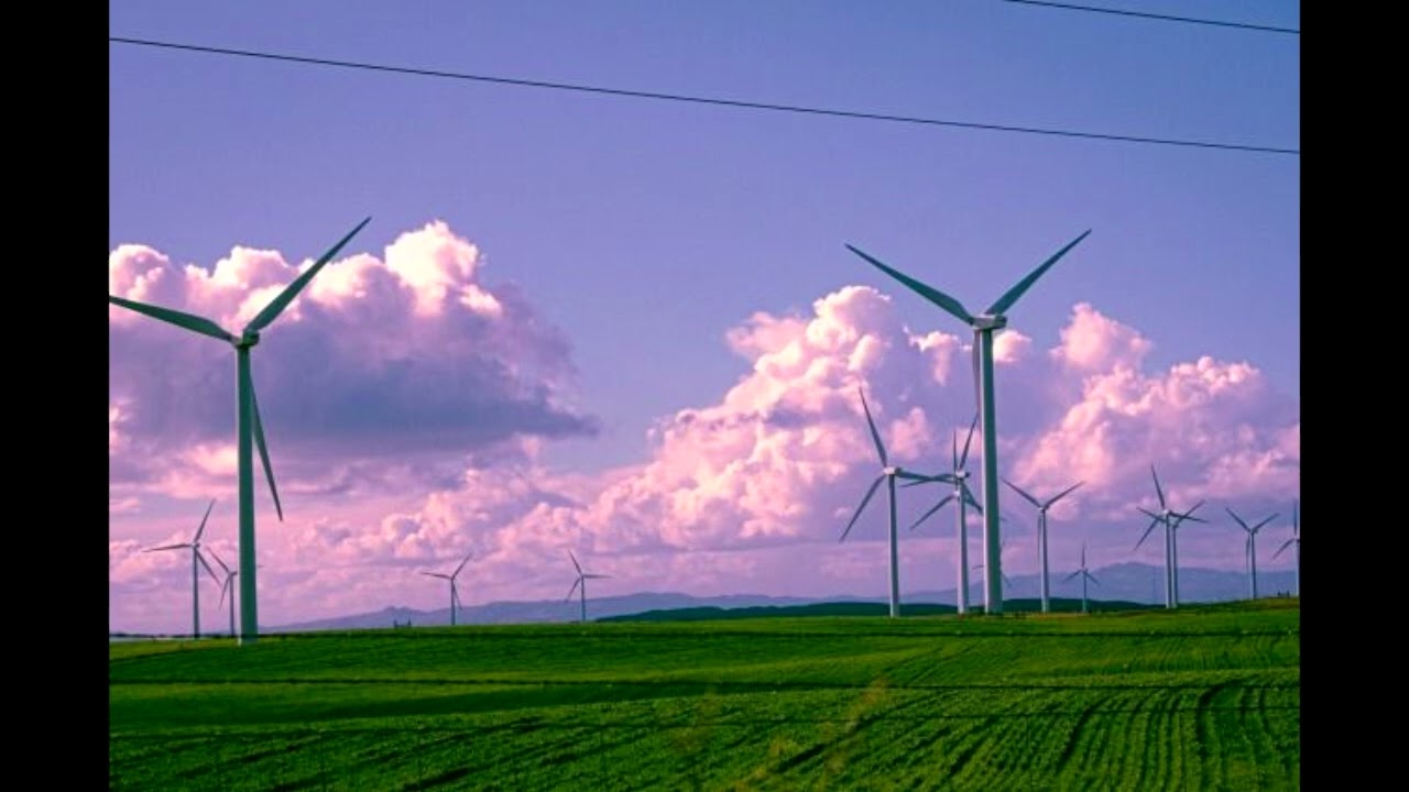 -free- playboi carti x pierre bourne x tlop5 type beat 