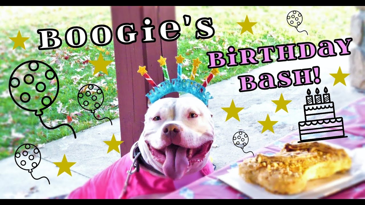 Boogie's Birthday Bash!