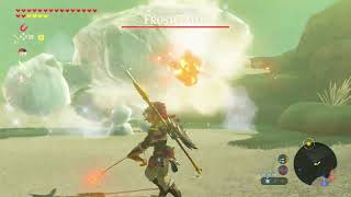 TLoZ: Breath Of The Wild 100% Walkthrough - Gerudo Tower - Part 116