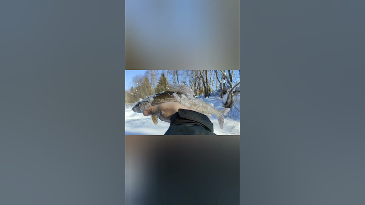 Хариус зимой на лесной речке