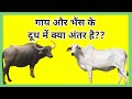 गाय और भैंस के दूध में क्या अंतर है?? (What is the difference between cow and buffalo milk??)