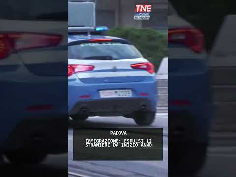 Video IMMIGRAZIONE: ESPULSI 12 STRANIERI DA INIZIO ANNO | 22/01/2026