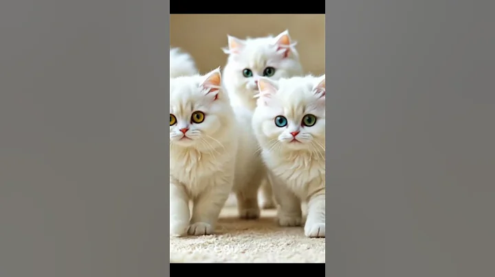 #cat #kitten #cutecat #catvideos #catshorts #funny #cats #ai #funnycat #cute #viral #viralshorts