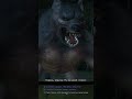 Типичный #Геральт #vilmarionv #gaming #games #game #witcher #old #ведьмак #игры #nostalgia #oldgames