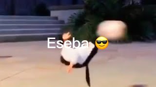 Siii Eseba 😎