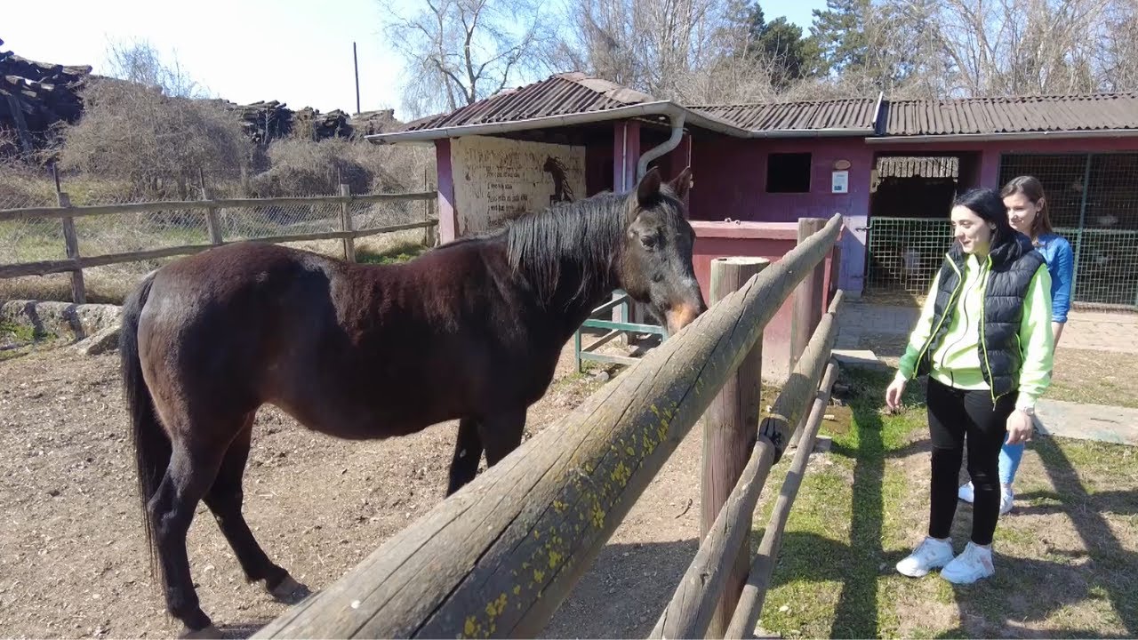 Znaci moga mesta - Poljoprivredna škola Svilajnac
