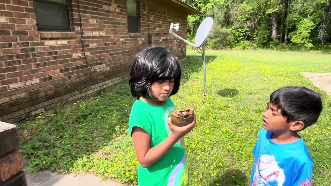 Wild tortoise (box turtle) found and released || kids enjoy the turtle rescue and release