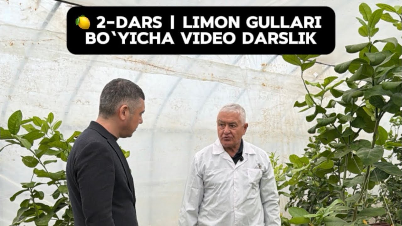 🍋 2-DARS | Limon gullari bo‘yicha video darslik!!!