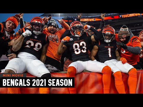 Cincinnati Bengals Tickets, 2023 NFL Tickets & Schedule