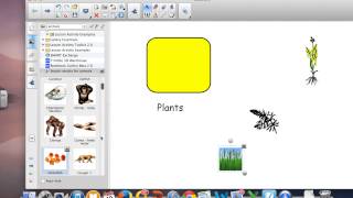SMARTboard Notebook Activity Builder Demonstration