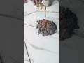 epoxy bharna ka sahi trika epoxy kasa bharta ha #short#viralvideo #trending #youtbeshorts