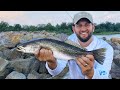 This ROCK DAM Was Holding a Serious Amount of Fish (CATCH AND COOK)