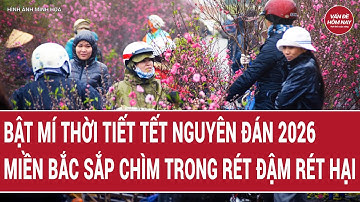 Tin tức nóng: Bật mí thời tiết Tết Nguyên đán 2026, Miền Bắc sắp chìm trong rét đậm rét hại