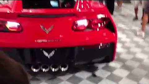 C7 Stingray at Barrett Jackson Palm Beach 2013