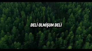 Yüksel Baltacı-DELİ OLMİŞUM DELİ ​