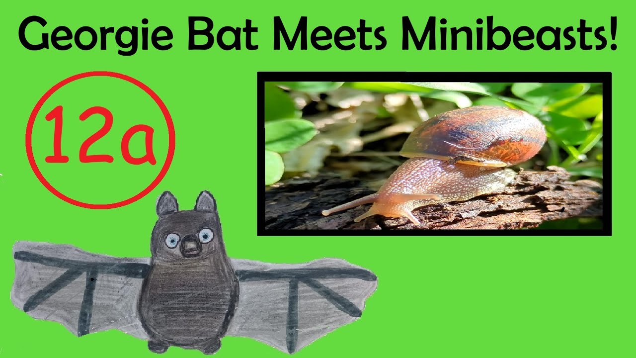 Georgie Bat Meets Minibeasts in the Garden 🦇🐞 | Bugs & Insects for Toddlers | EYFS ESL EAL | Ep. 12a