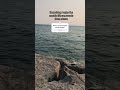 #beach #flowingwatersound #nature #naturesounds #water