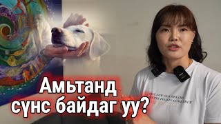 Танайд зочилъё./Дугаар 14/ СҮНС ГЭЖ БАЙДАГ УУ?