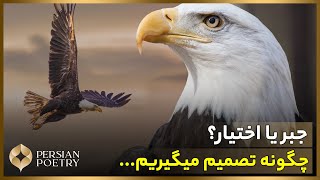 جبر یا اختیار؟ ما چگونه تصمیم میگیریم - دکتر حسام نوذری