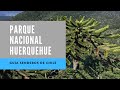 Parque Nacional HUERQUEHUE | Guia Senderos de Chile, Trekking Lagunas | Info Técnica Trailrun Chile