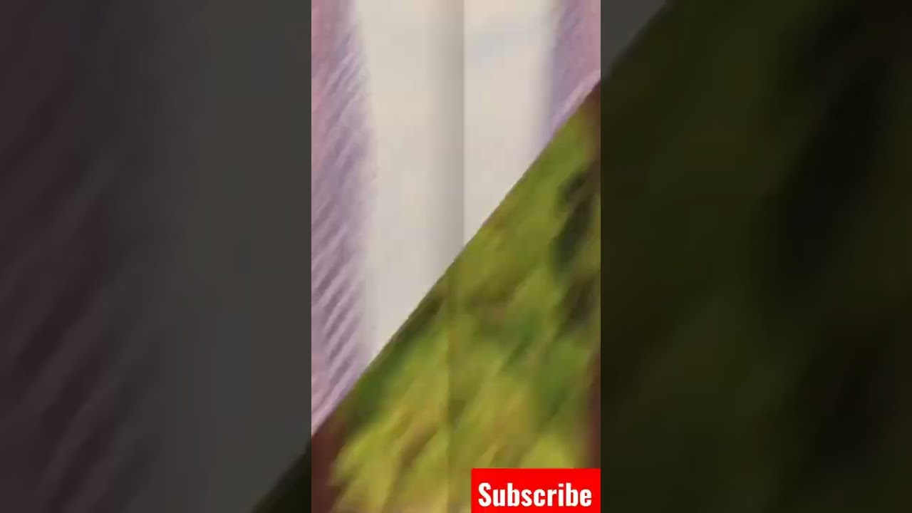 Disha Patani 10 hot bikini pics 🔥🔥🔥