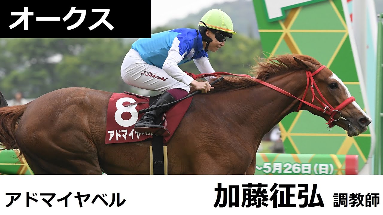オークス 共同会見】アドマイヤベル・加藤征弘調教師（2024年5月15日