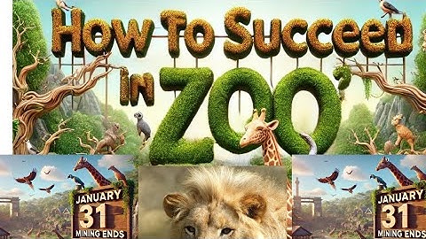 ZOO AIRDROP: Understanding the ZOO Airdrop and How to succeed in ZOO