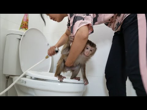 Video Nui family | Today Nui is with her mother - youtube