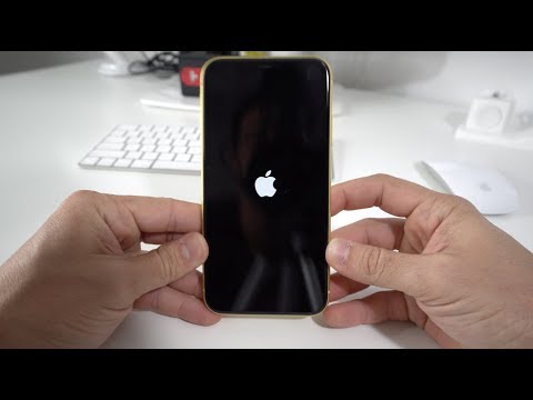 How do I force shutdown my iPhone 11?