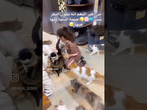 🌸🥰🦋💋💁‍♀️🤩🐈🐱 #ghazal #lifeisbutadream #love #ekmotahathighumechala #shorts #kitten #cat