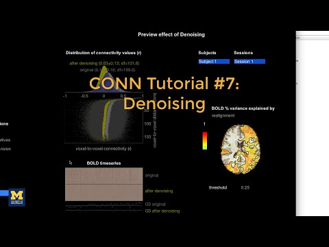 CONN Tutorial #7: Denoising