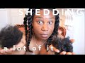 SHEDDING after protective styling | 4c Natural Hair