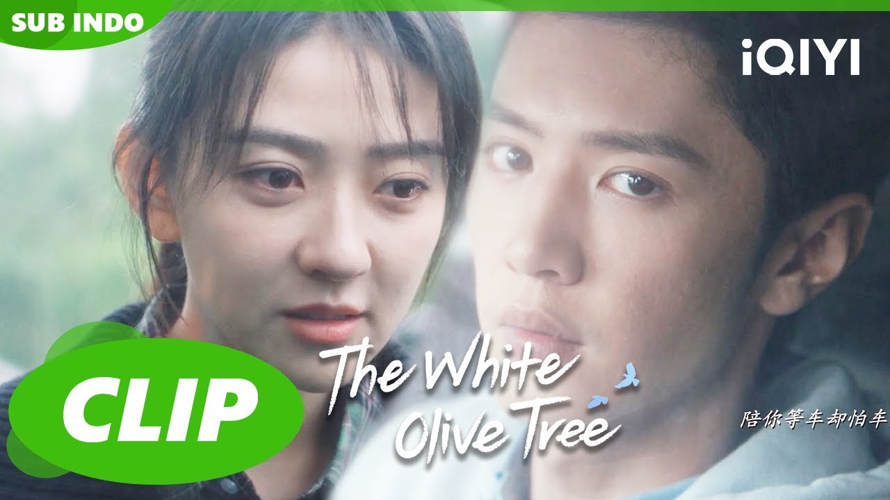 Li Zan menemukan kata-kata ditulis oleh Song Ran🤭😍| The White Olive ...