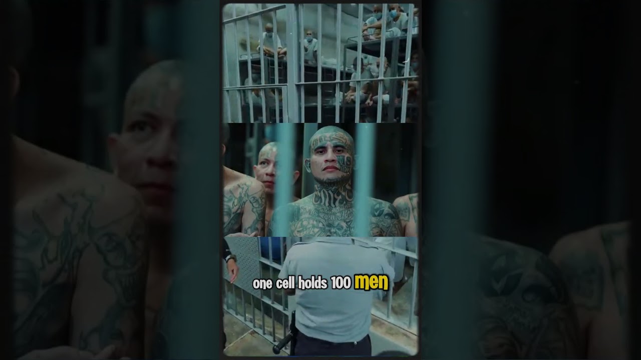 40,000 Inmates. 0 Privacy. Welcome to CECOT.