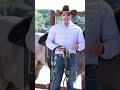 Correctly Putting a Breast Collar on Your Horse