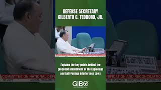 SND Gibo Teodoro Explains Espionage Law Changes