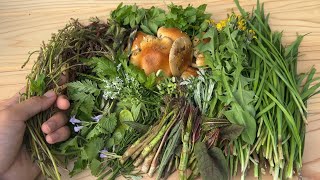 おかず0円生活】野草最強の効能を持つスベリヒユを食べる！馬齒莧這個