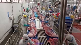 Linee Disosso E Sezionamento Suini